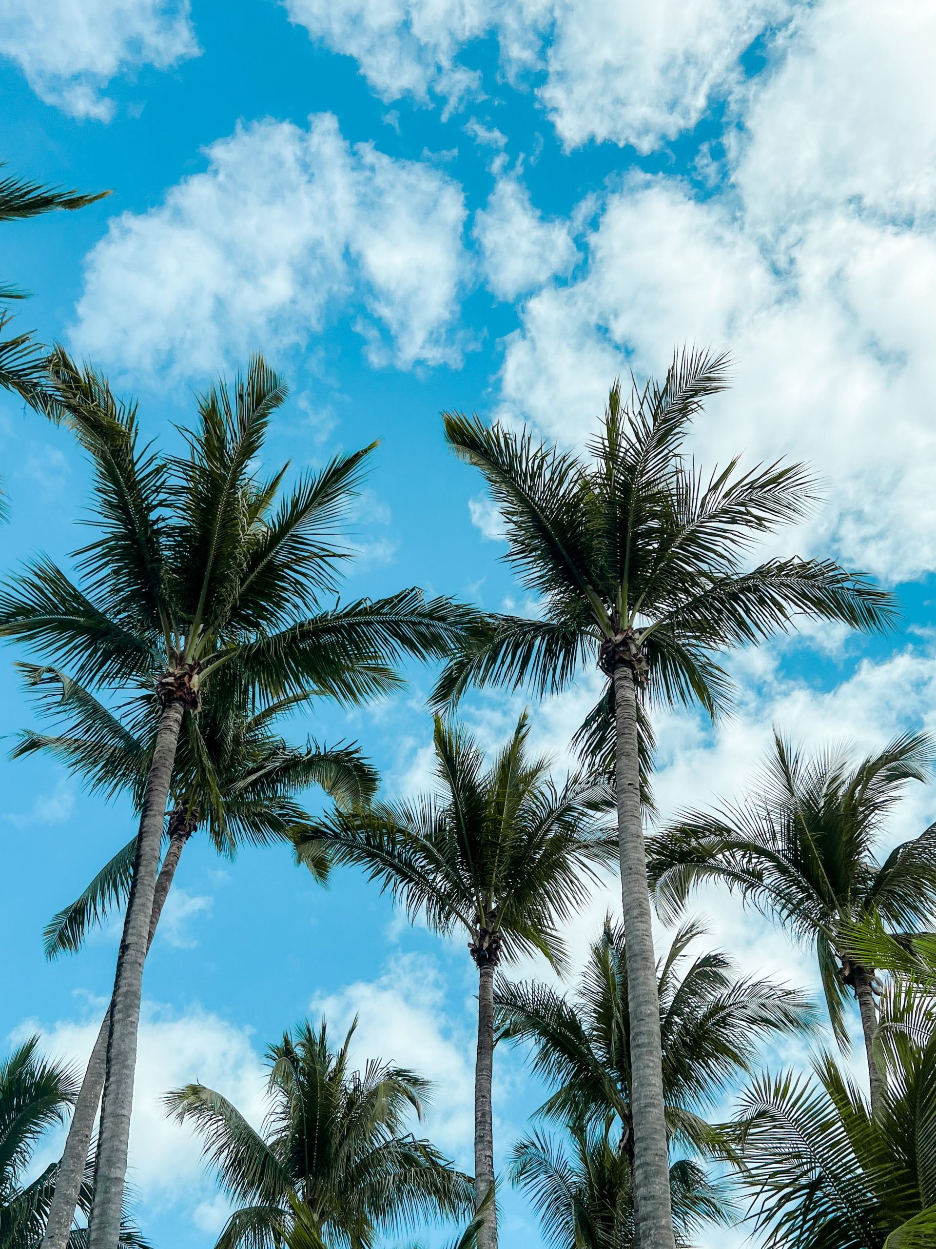 Private household staffing in Palm Beach preparing an estate for the season